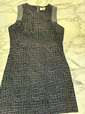 BB Dakota sleeveless dress